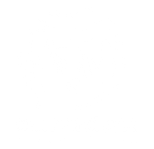 Paradox Interactive